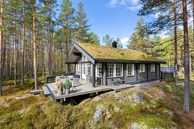 Blefjell Hyttegrend, Hovin i Telemark